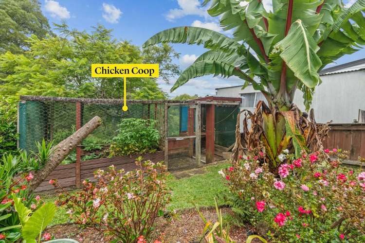 38 Neumann Street Kawakawa_17