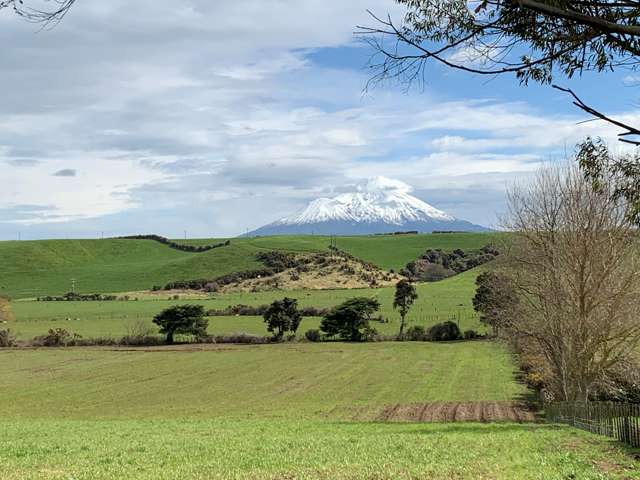 GREEN GREEN GRASS OF HOME