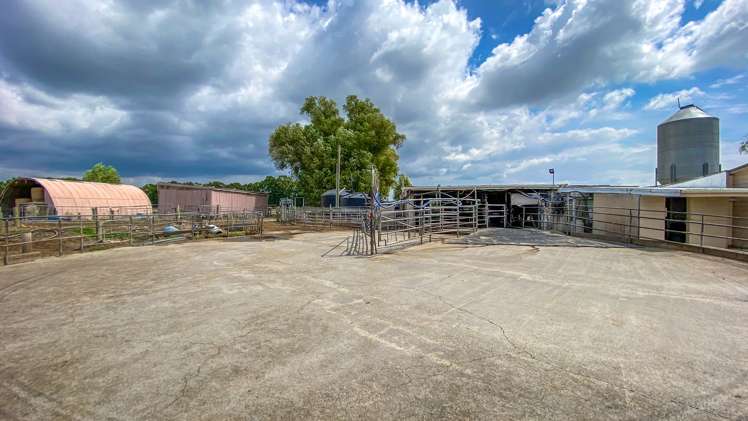 982 State Highway 25 Waitakaruru_2