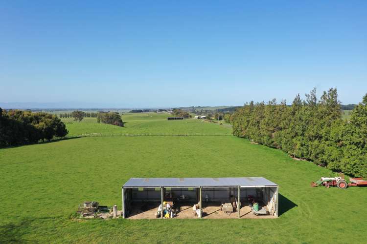 108 Mckays Line Beaconsfield_12