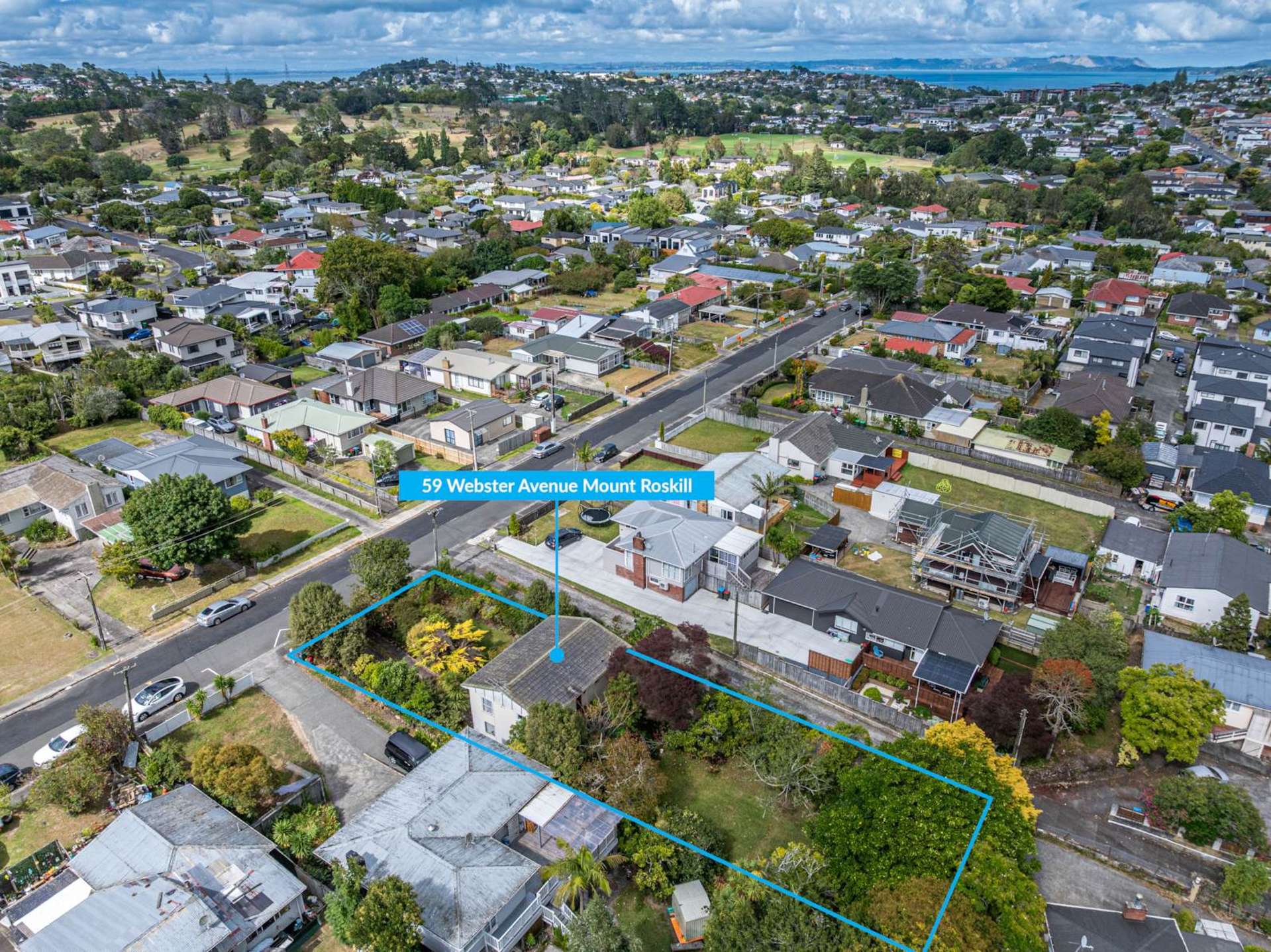 59 & 2/59 Webster Avenue Mt Roskill_0