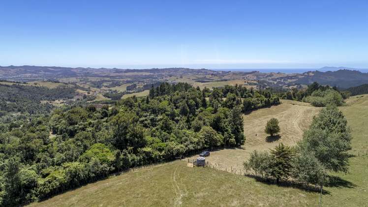 43b Walls Road Waihi_11