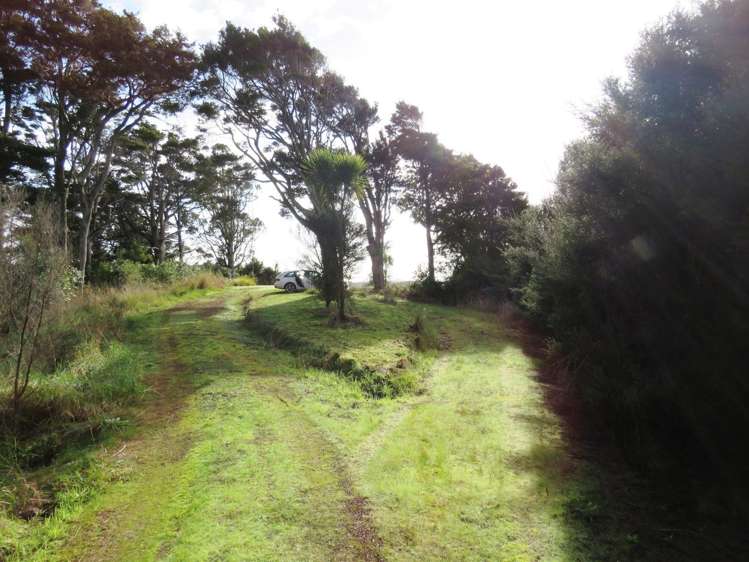 Pataua North Road Whareora_11