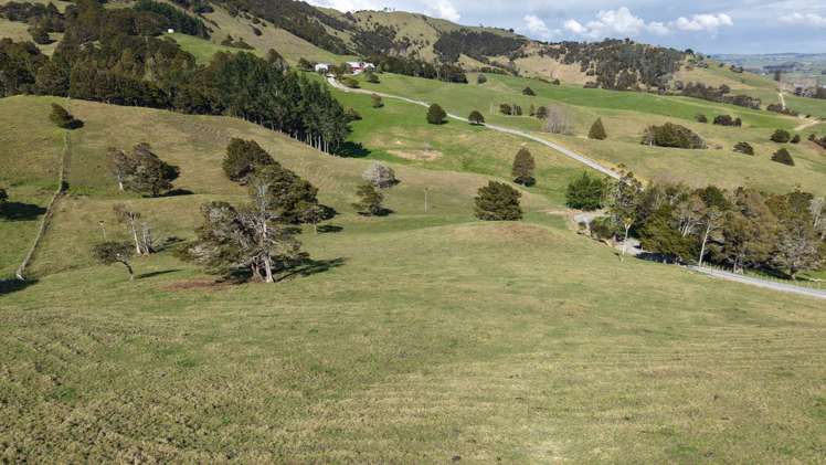 136 Whakahara Road Arapohue_23