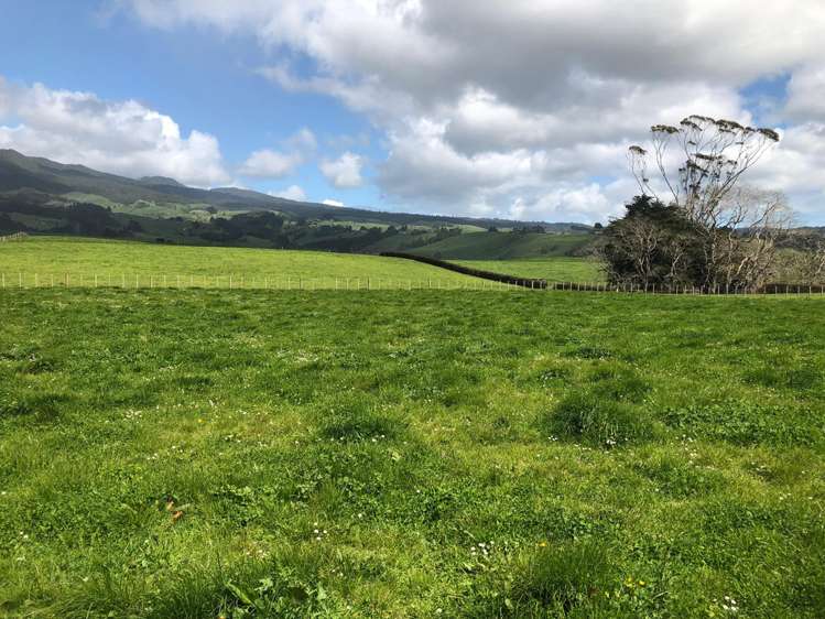 88 Strong Road Te Pahu_5