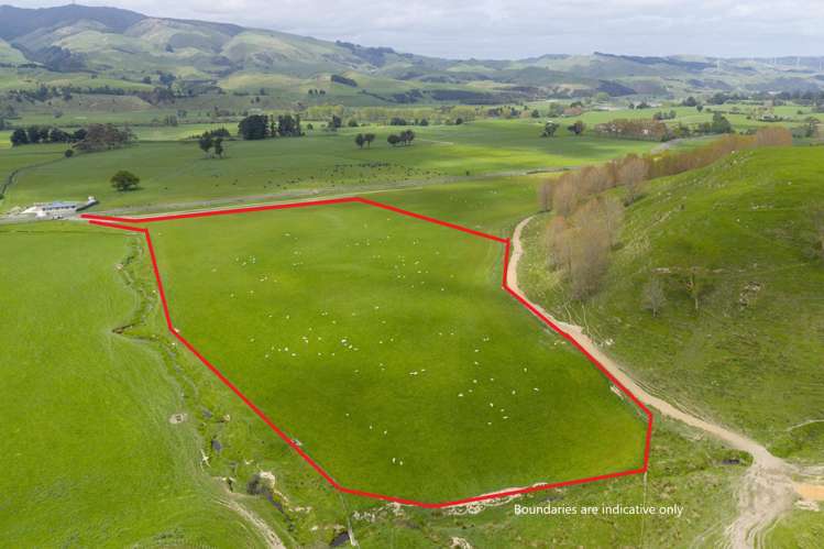 643c Pohangina Road Pohangina Valley_1