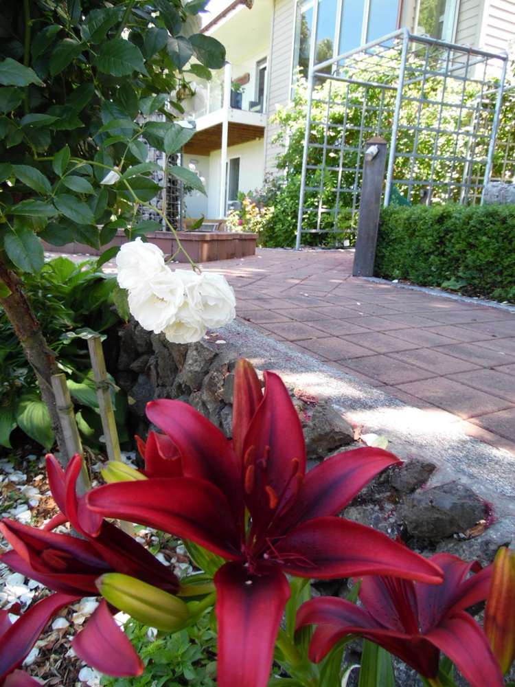 1824 State Highway 1 Oaro_42