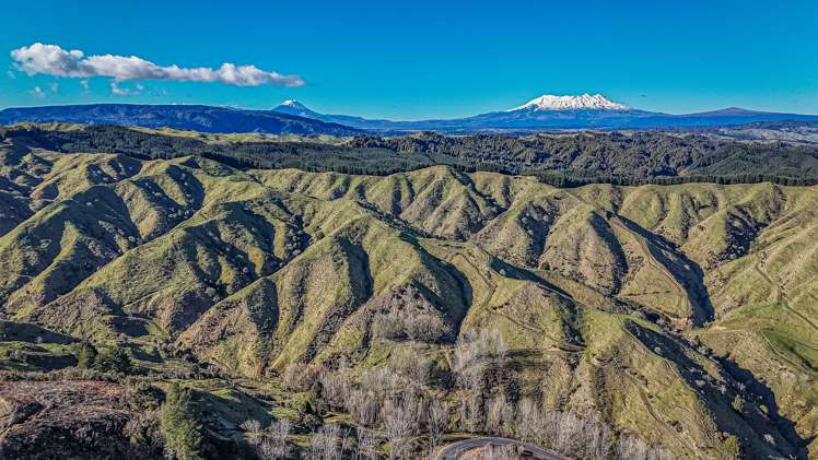 Lot 1 Oio Road Owhango_6