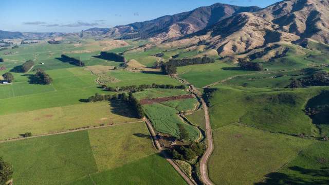 454 Parkville Road Eketahuna_2