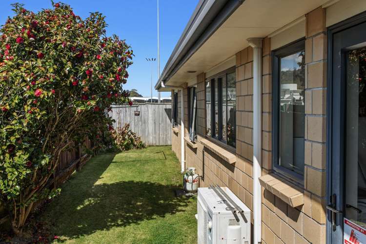 61A Domain Road Whakatane_14