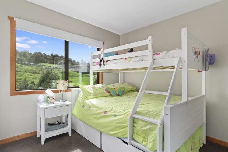 698f Whakamarama Road Whakamarama_16