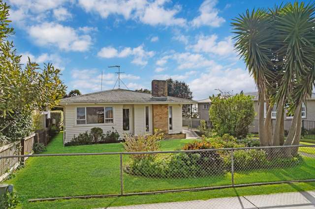 Pukekohe Gem with Subdivision Potential!
