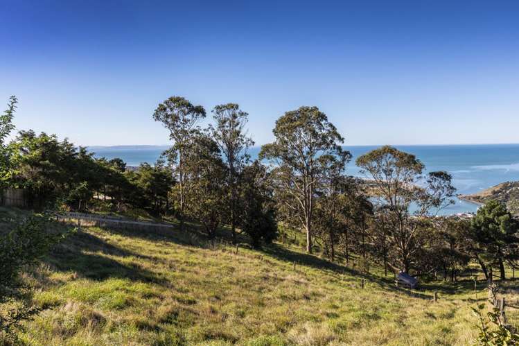 357 Mount Pleasant Road Mount Pleasant_2