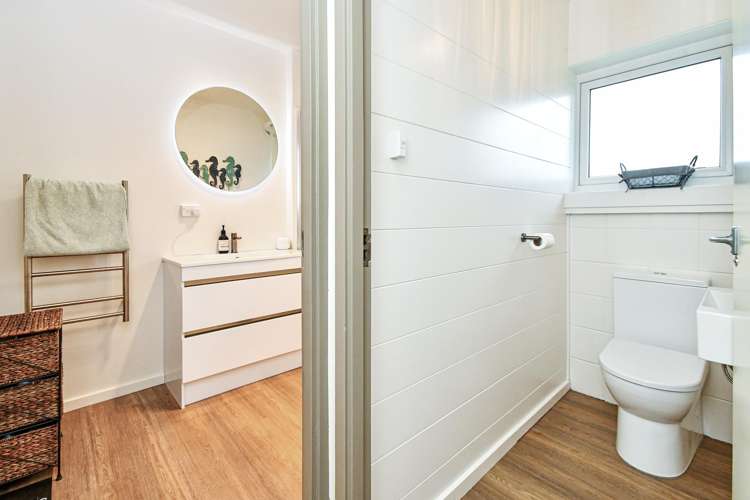 113 Elliot Street Pahurehure_8