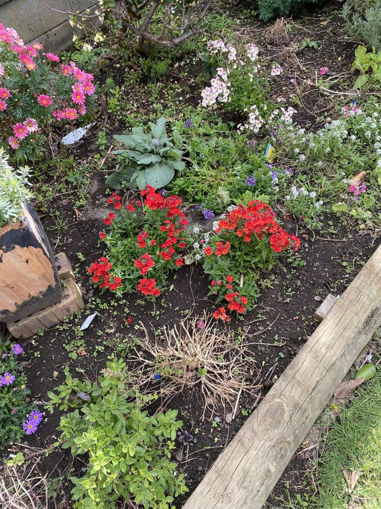 100 Centennial Avenue Waitara_44