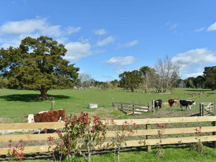 571 Kara Road Maungatapere_5