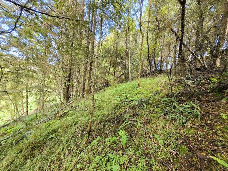 Whakahara Road Dargaville_16