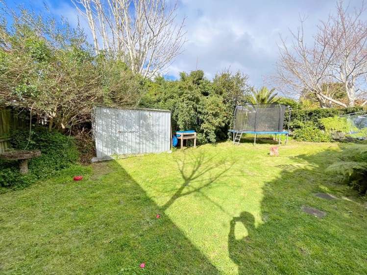 71 Renfrew Avenue Sandringham_5