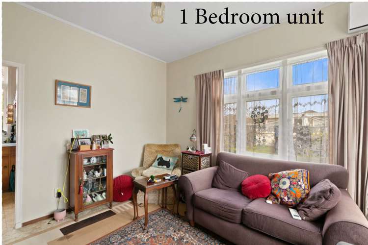 56 Rotherham Terrace Miramar_10