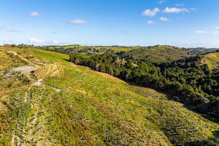 Arcadia Road Paparoa_8