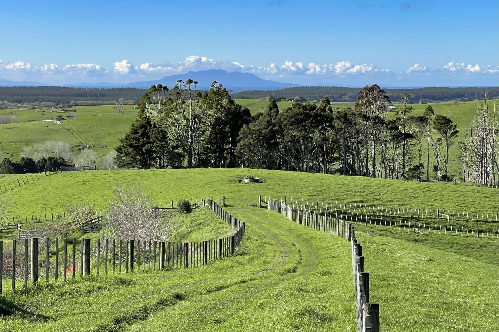 140 Te Arai Point Road Te Arai_0