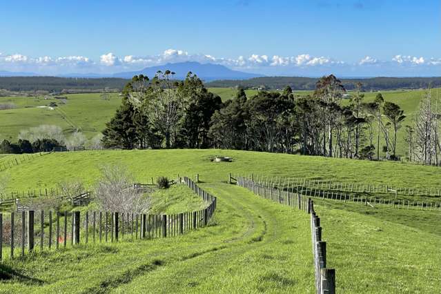 Te Arai coastal paradise