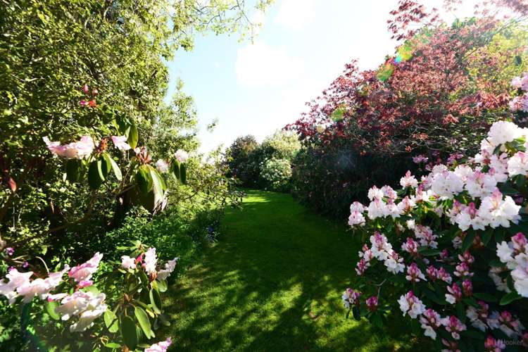 36 Frederick Street Makikihi_20