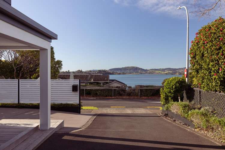 253 Devonport Road Tauranga Central_4
