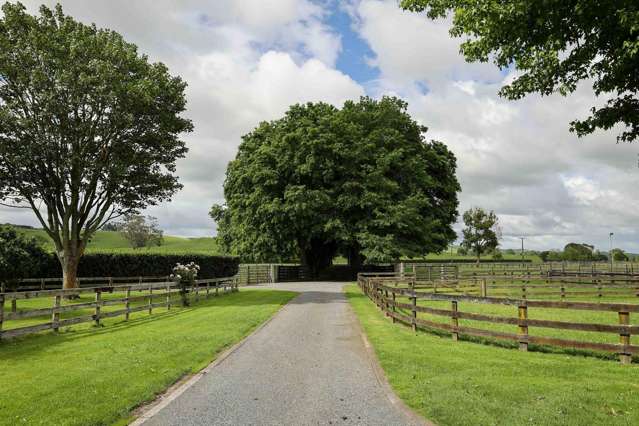 Longlands Stud - Equine Breeding/Cattle Fattening