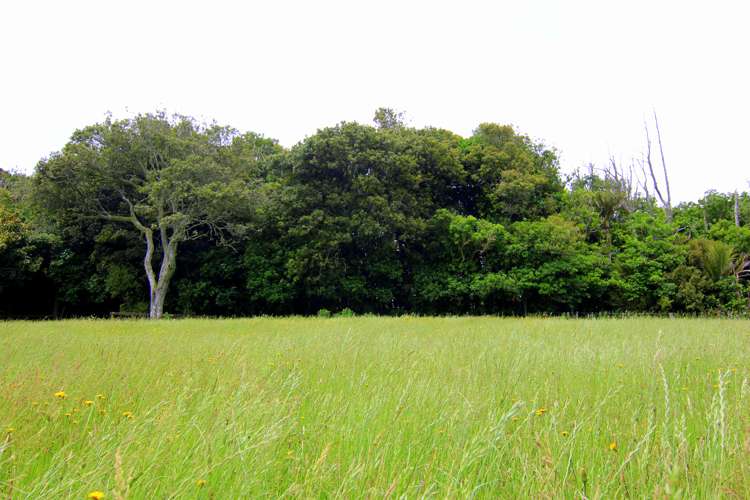 443b Murray Road Pukekawa_6