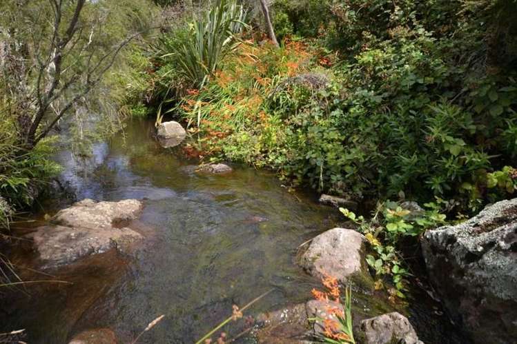 505 Waimate North Road Kerikeri_19