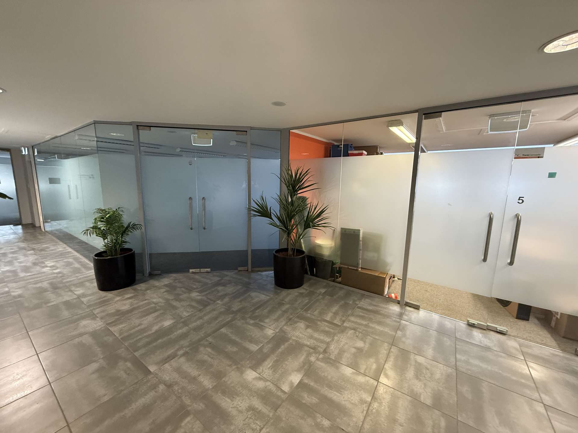 89 Grey Street Tauranga_0