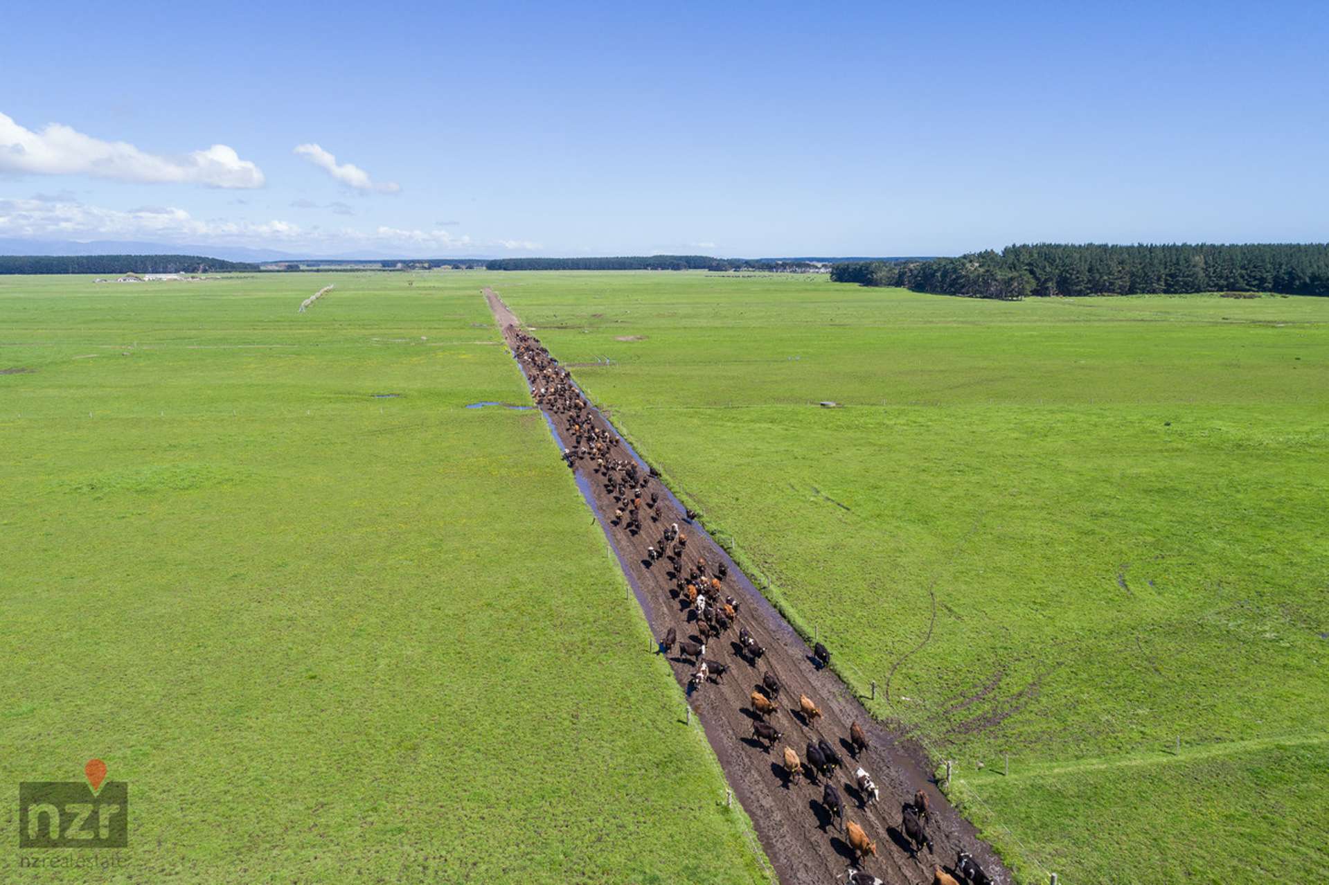 150 Himatangi Beach Road Himatangi_0
