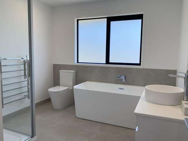 354 Whitehills Road Dairy Flat_3