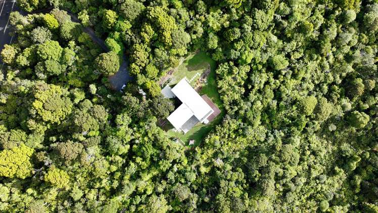 296 Piha Road Piha_89