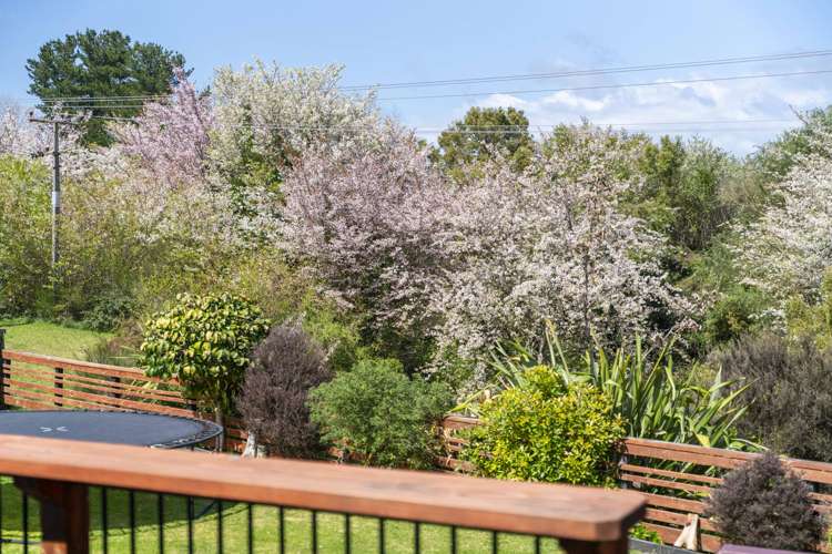 14 Kempton Place Richmond Heights_23