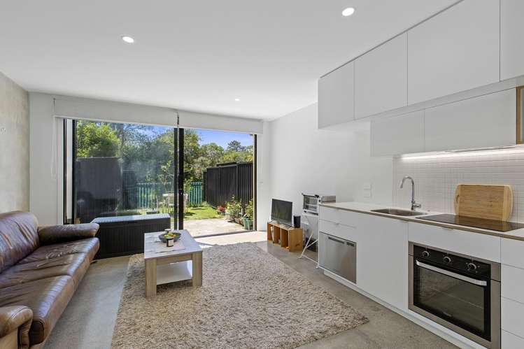 47 Te Ara O Paetutu Petone_7