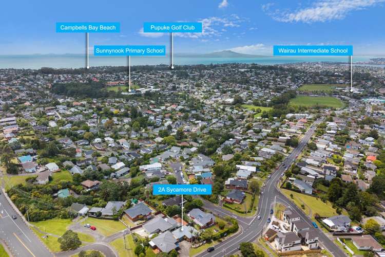 2a Sycamore Drive Sunnynook_17