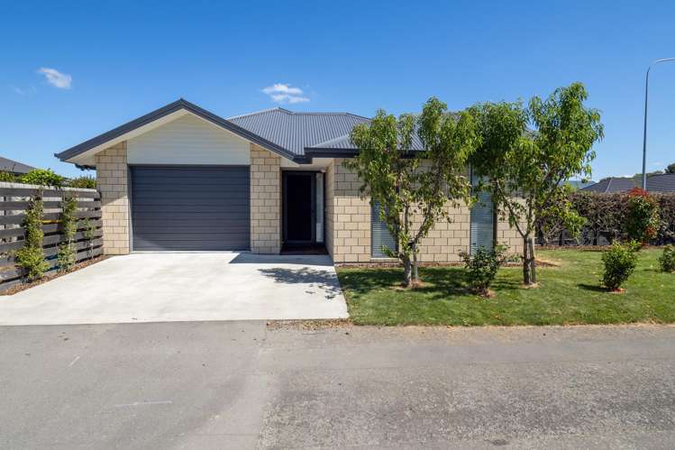 170 William Street Netherby_1
