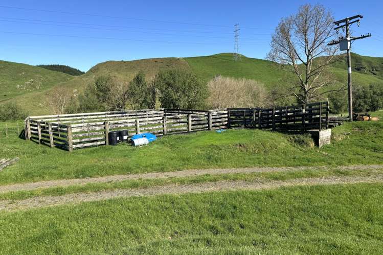 161 Veale Road Otorohanga_11