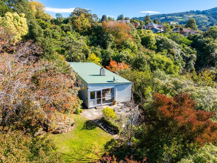 61 Braeview Crescent Maori Hill_18