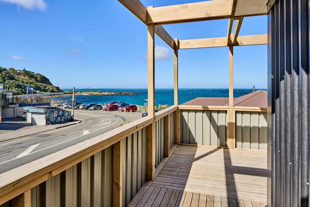 1 and 3 Happy Valley Road Owhiro Bay_2