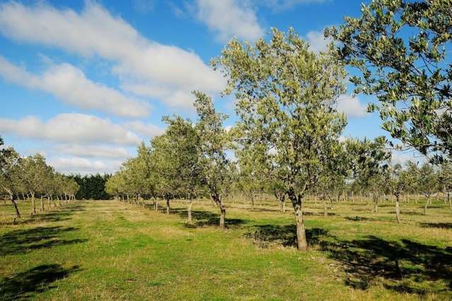 206 Mount Brown Road Amberley_1