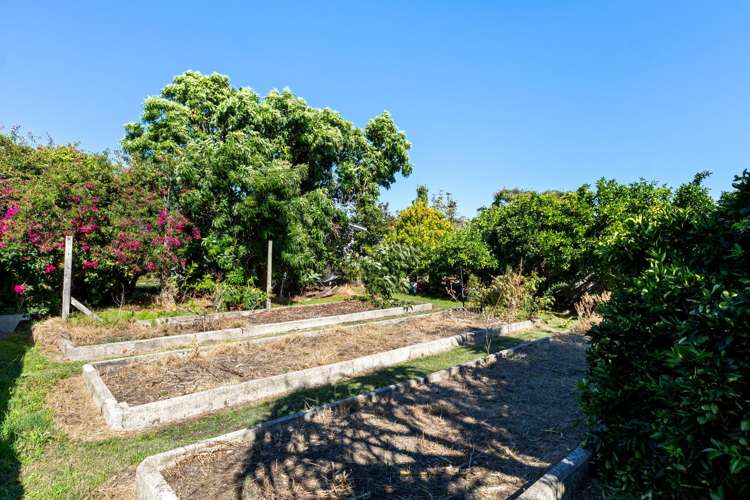 15 Haldane Street Elgin_22