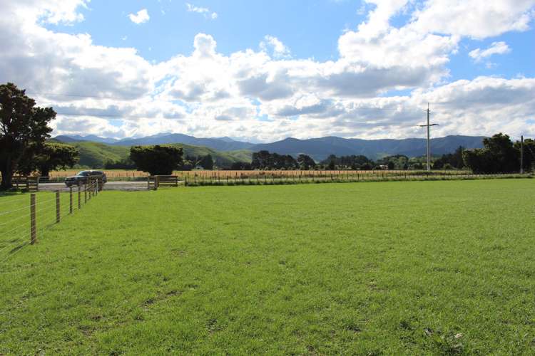 1562 State Highway 2 Kiriwhakapapa_11