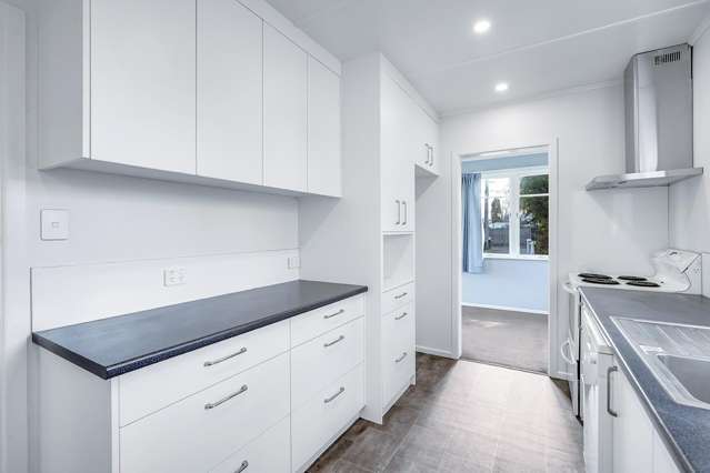 11 Richardson Road Bader_3