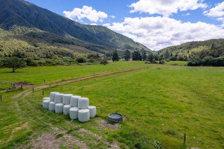 1153 Shenandoah Highway Murchison_28