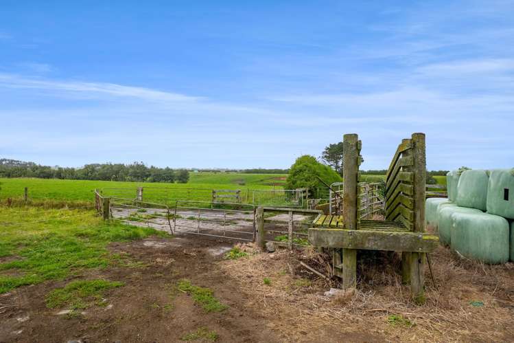 0n Normanby Road Lower Manaia_15