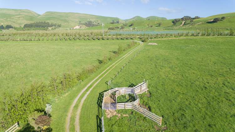 950a White Rock Road Ruakokoputuna_21