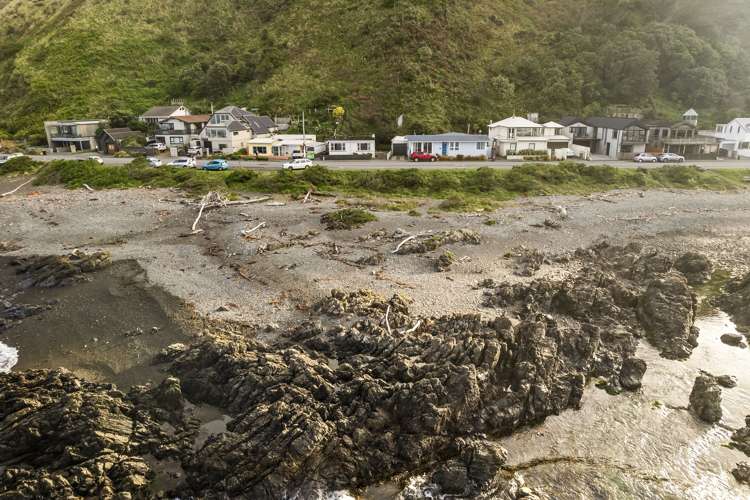 166 Owhiro Bay Parade Owhiro Bay_14
